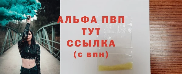 мяу мяу мука Кодинск