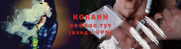 мяу мяу мука Кодинск