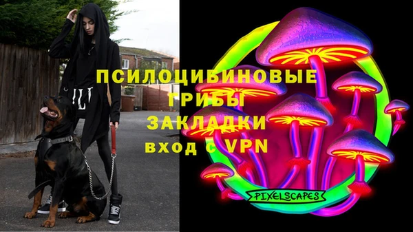 mdpv Касимов